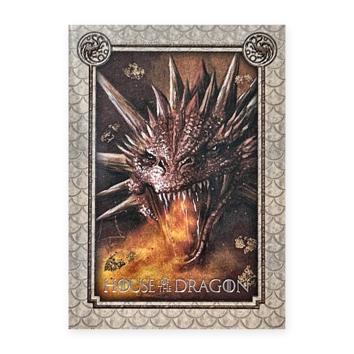 A Dragon's Wrath Unleashed AR28 HotD Series 2 Vorderseite