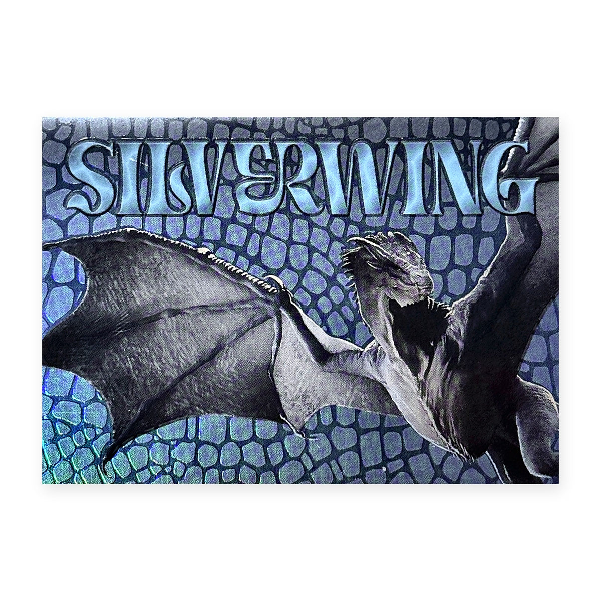 Silverwing & Ulf DR8 HotD Series 2 Vorderseite